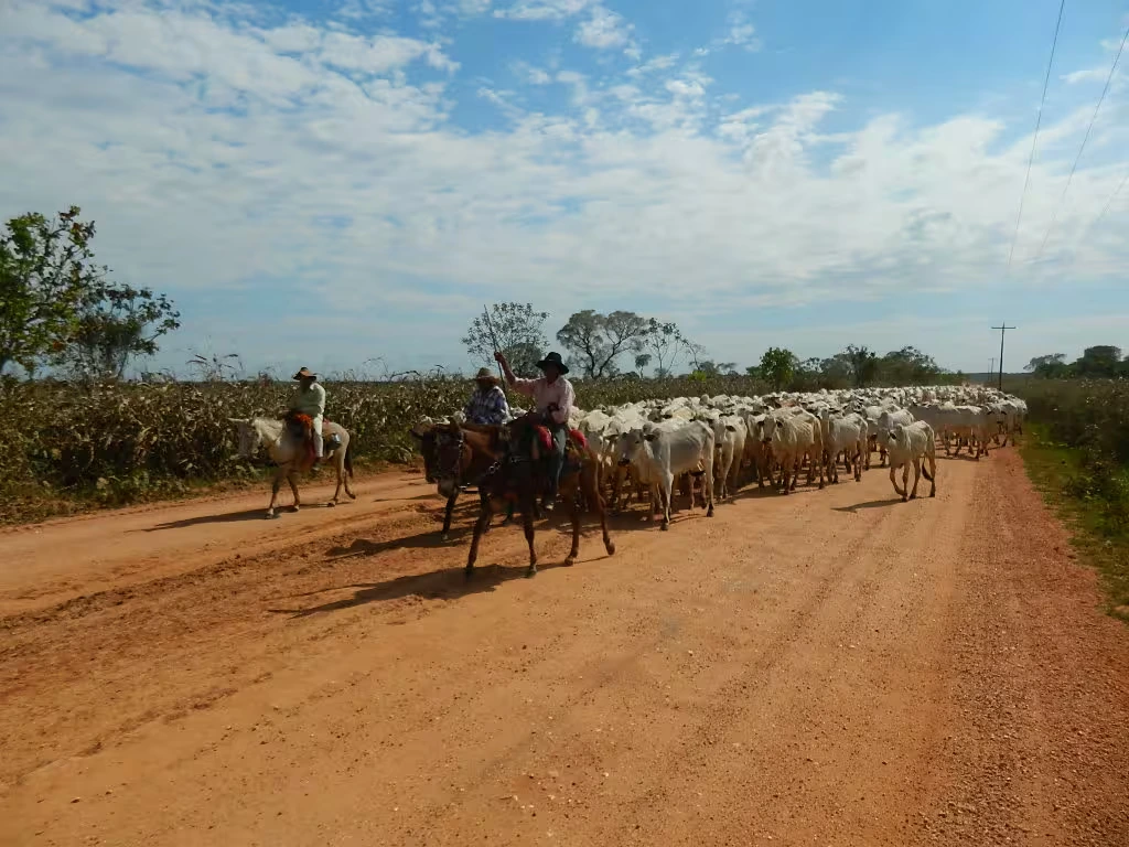 CHAPADA PANTANAL TOURS