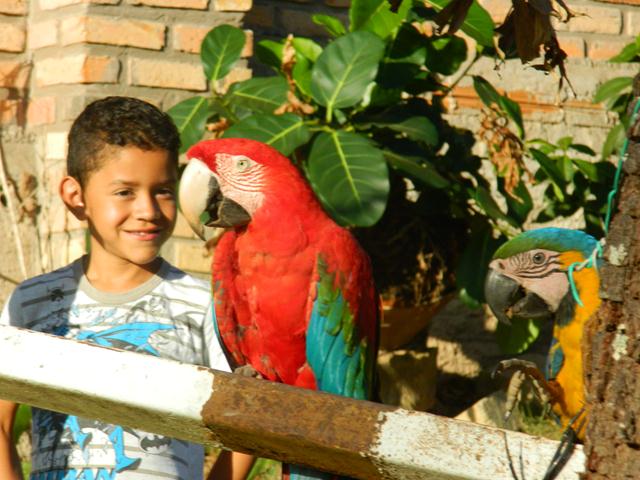 CHAPADA PANTANAL TURISMO