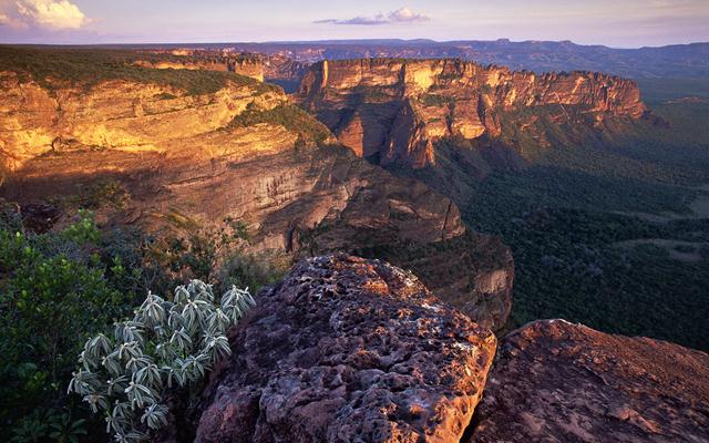 CHAPADA PANTANAL TURISMO