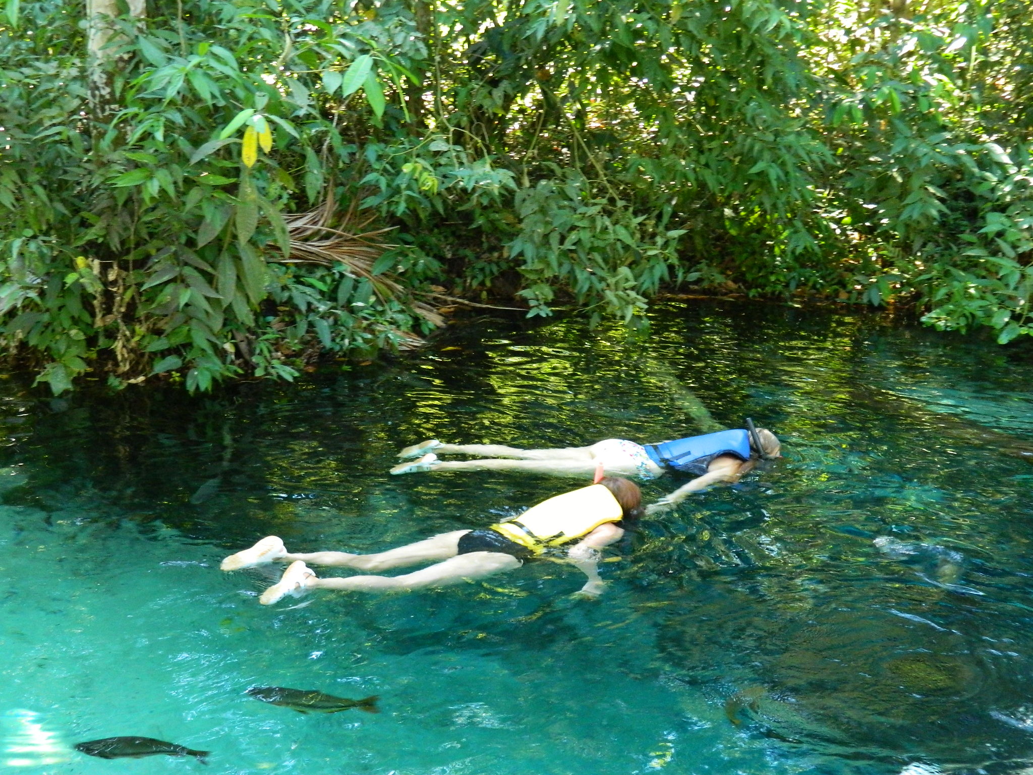 CHAPADA PANTANAL TOURS