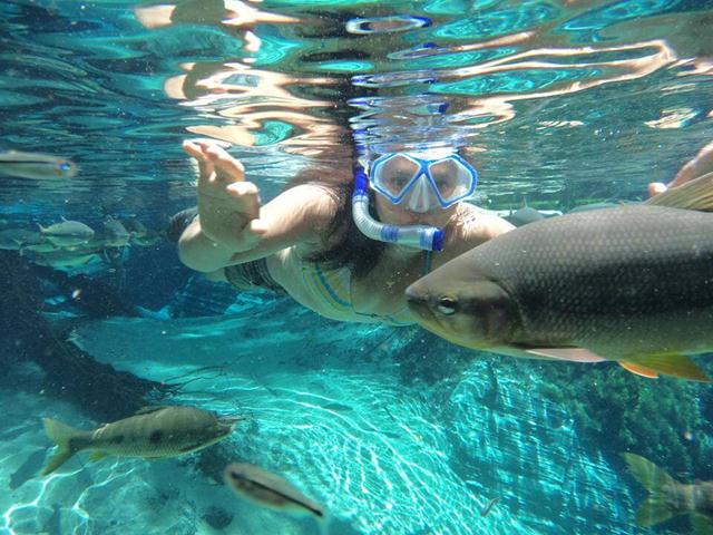 Snorkeling-Nobres