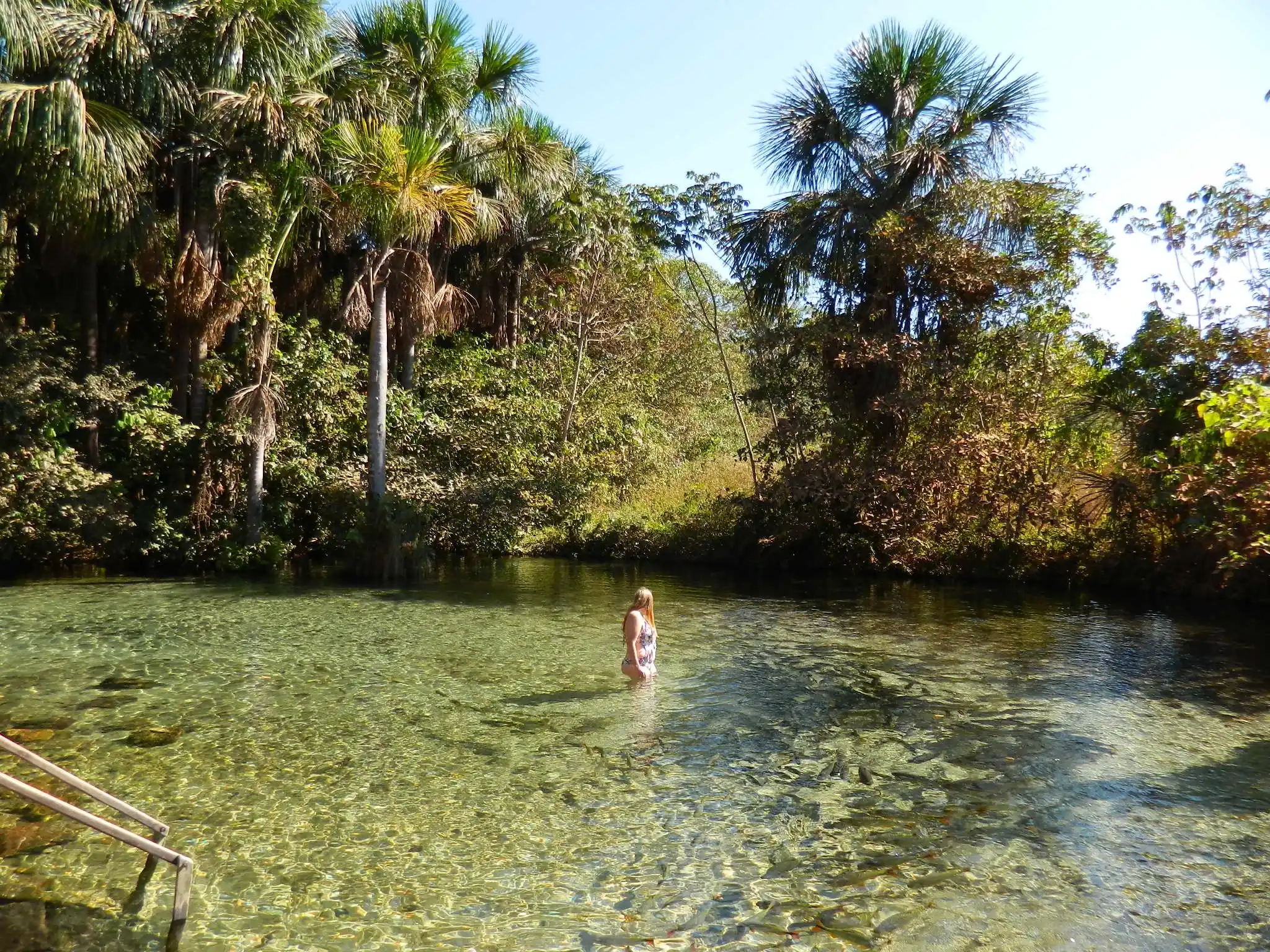 Snorkeling-Nobres