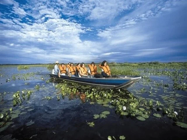 Pantanal-Patrimonio natural da humanidade