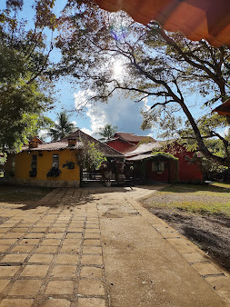 chapada pantanal